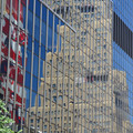 DSC_7539.jpg